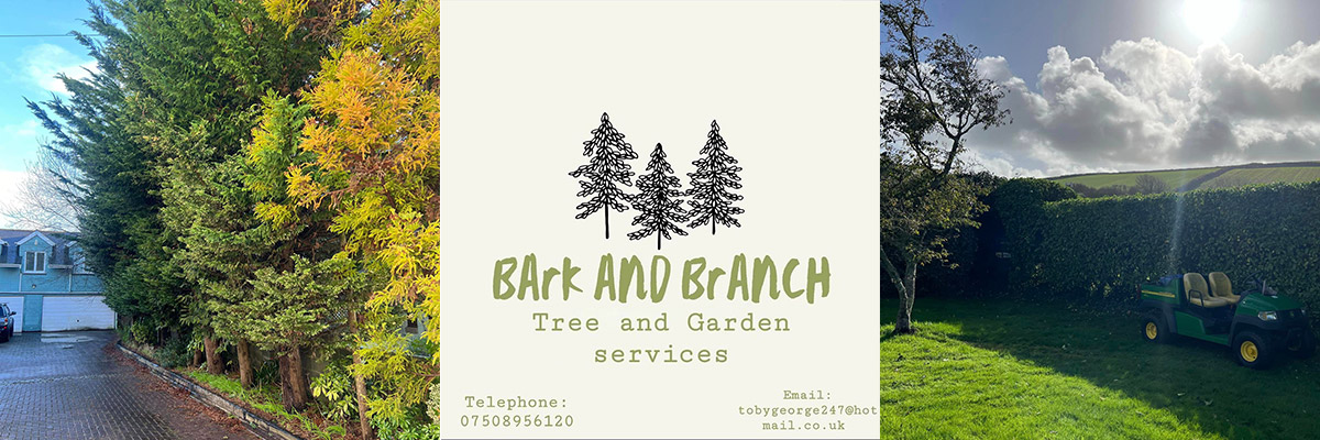 Bark and Branch