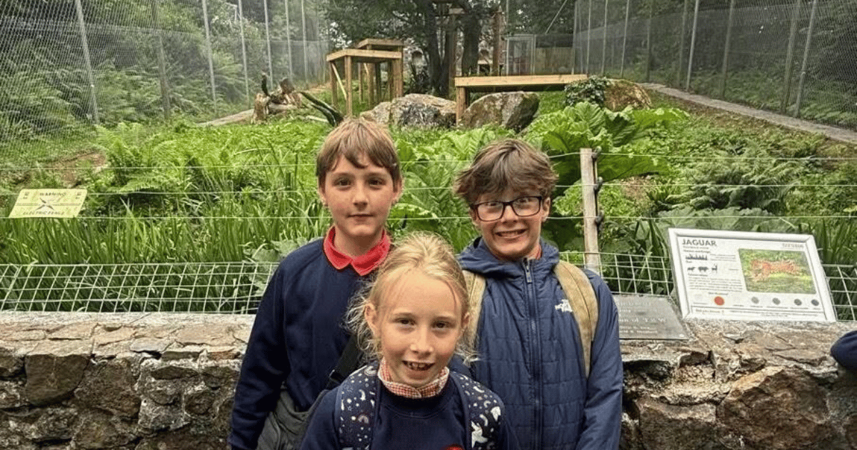 West Alvington pupils go wild for learning on Dartmoor Zoo visit