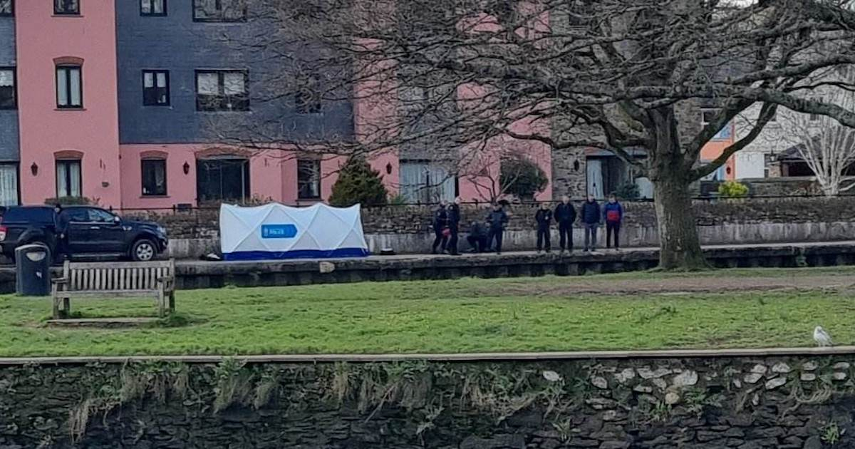 Body found in Totnes - South Devon News | SouthHams.com