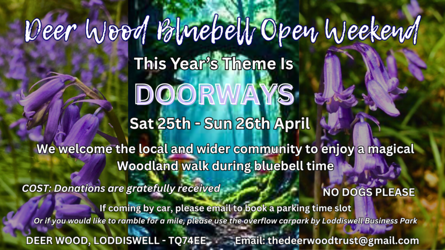 Deer Wood Bluebell Open Weekend - this years theme - 'Doorways' Deer Wood Bluebell Open Weekend - this years theme - 'Doorways'