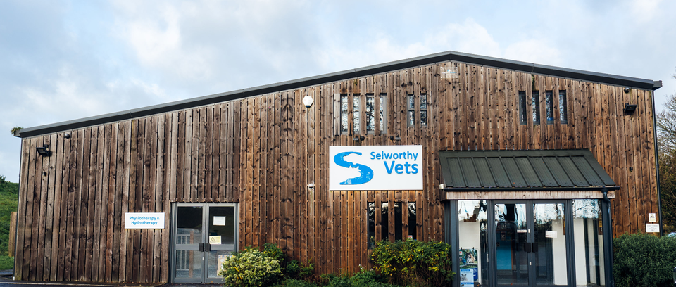 Selworthy Vets Selworthy Vets