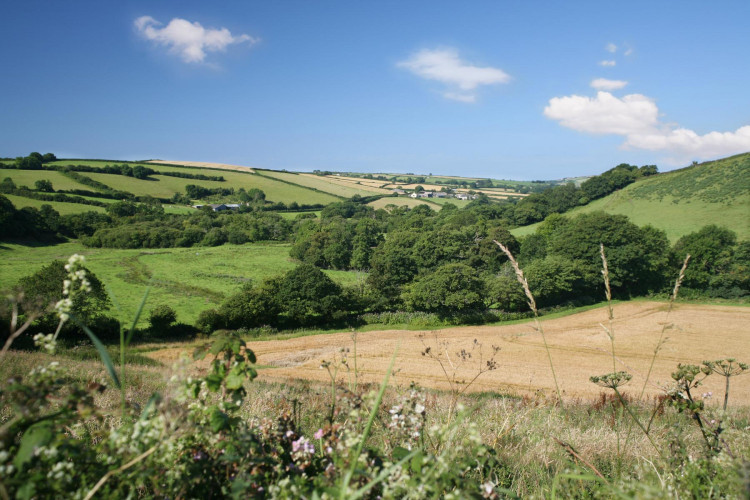 Aune Valley Meat Butcher, Farm Shop & Cafe Aune Valley Meat Butcher, Farm Shop & Cafe