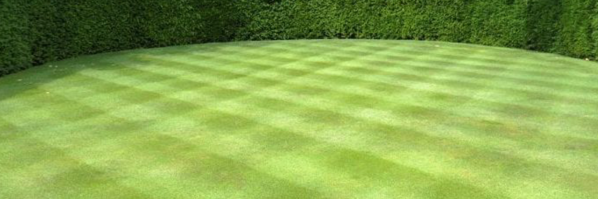 Green Heart Lawn Care Green Heart Lawn Care