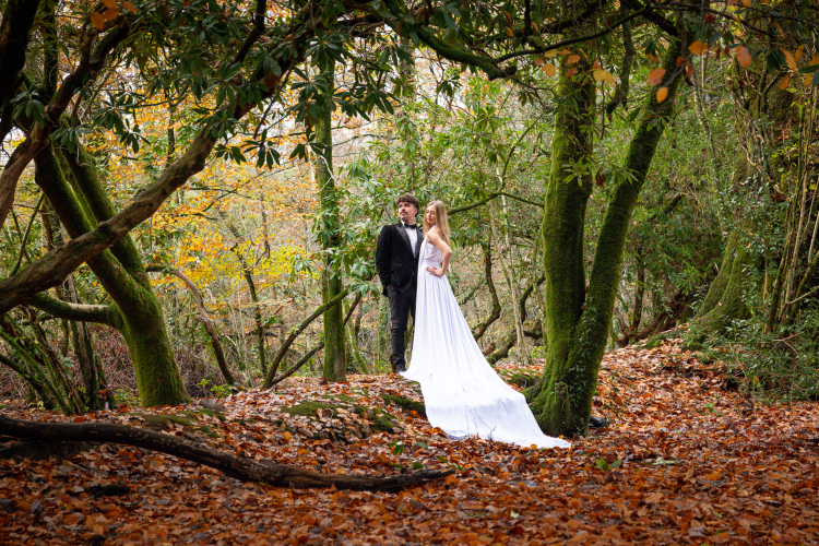 Amor Photography Ltd Amor Photography Ltd