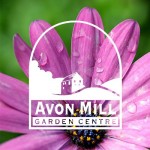 Avon Mill Garden centre