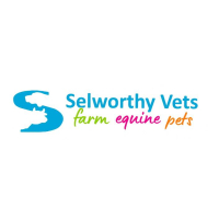 Selworthy Vets Selworthy Vets